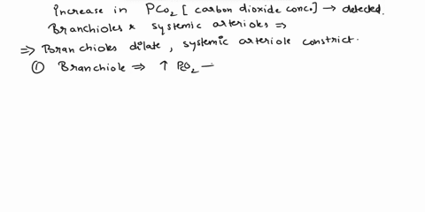 1point-what-response-in-the-bronchioles-and-systemic-arterioles-would-occur-when-an-increase-in-pco2is-detected-o-o-o-o-bronchioles-constrict-and-the-systemic-arterioles-to-dilate-bronchiole-87297