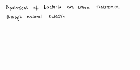 antibiotic-resistance-microbial-antagonism-and-therapeullc-use-chapter-12-continued-ndm-1-carrying-bacteria-are-resistant-to-antibiotics-that-inhibit-pg-synthesis-entymes-mrsa-stunds-for-met-15803