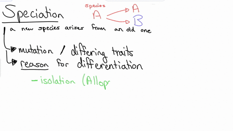 which-one-of-the-following-statements-regarding-speciation-is-true-a-always-results-in-an-increase-in-the-number-of-species-b-can-also-be-described-as-branching-nodes-on-a-phylogeny-c-geographic-isola