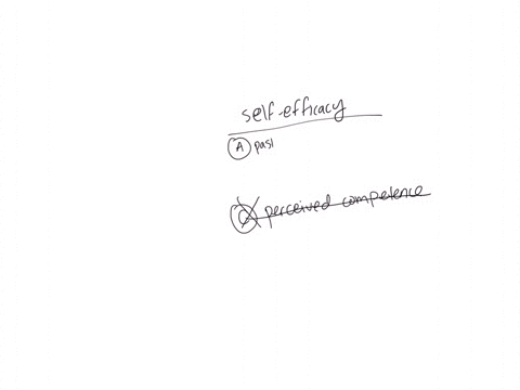 which-of-the-following-are-sources-of-self-efficacy-a-past-mastery-experiences-and-verbal-persuasion-b-vicarious-experiences-and-affective-states-c-perceived-competence-and-affective-states-d-a-and-b