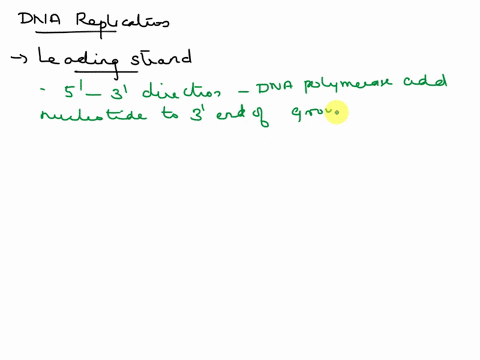 compare-and-contrast-the-synthesis-of-leading-and-lagging-strands-during-dna-replication-95963