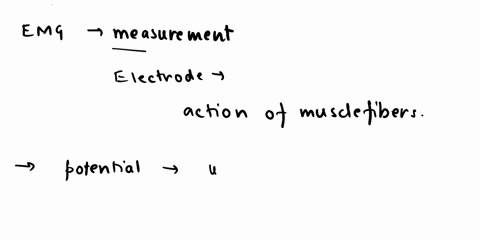 in-emg-measurement-what-does-needle-electrode-measure-the-action-of-the-muscle-the-action-of-the-muscle-fiber-the-action-of-group-of-muscles-73353