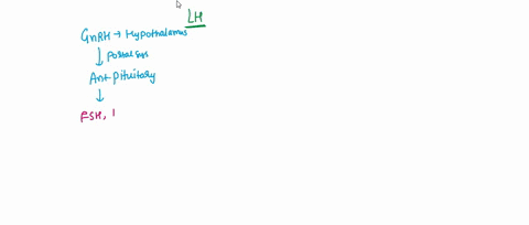 lh-is-released-by-the-anterior-pituitary-gland-to-stimulate-sertoli-cells-to-produce-sperm-lo-132-true-or-false-13439