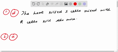 question-1-05-pts-in-which-of-the-following-scenarios-was-the-transformation-principle-observed-in-griffiths-experiment-the-s-cells-are-lethal-to-the-mice-the-r-cells-are-lethal-to-the-mice-59373