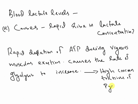 blood-lactate-levels-during-vigorous-exercise-the-concentrations-of-lactate-in-blood-plasma-before-d-95908