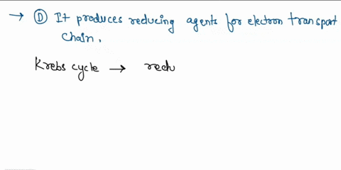 why-is-the-krebs-cycle-so-important-if-it-only-produces-2-atp-molecules-it-oxidizes-pyruvate-and-prepares-it-for-the-electron-transport-chain-b-it-uses-all-the-glucose-we-eat-it-produces-man-85504