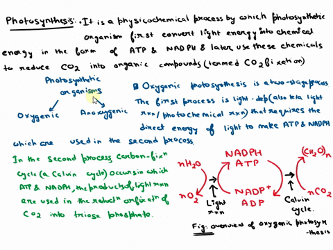 write-about-a-theme-energy-and-matter-life-is-solar-powered-almost-all-the-producers-of-the-biospher-16058