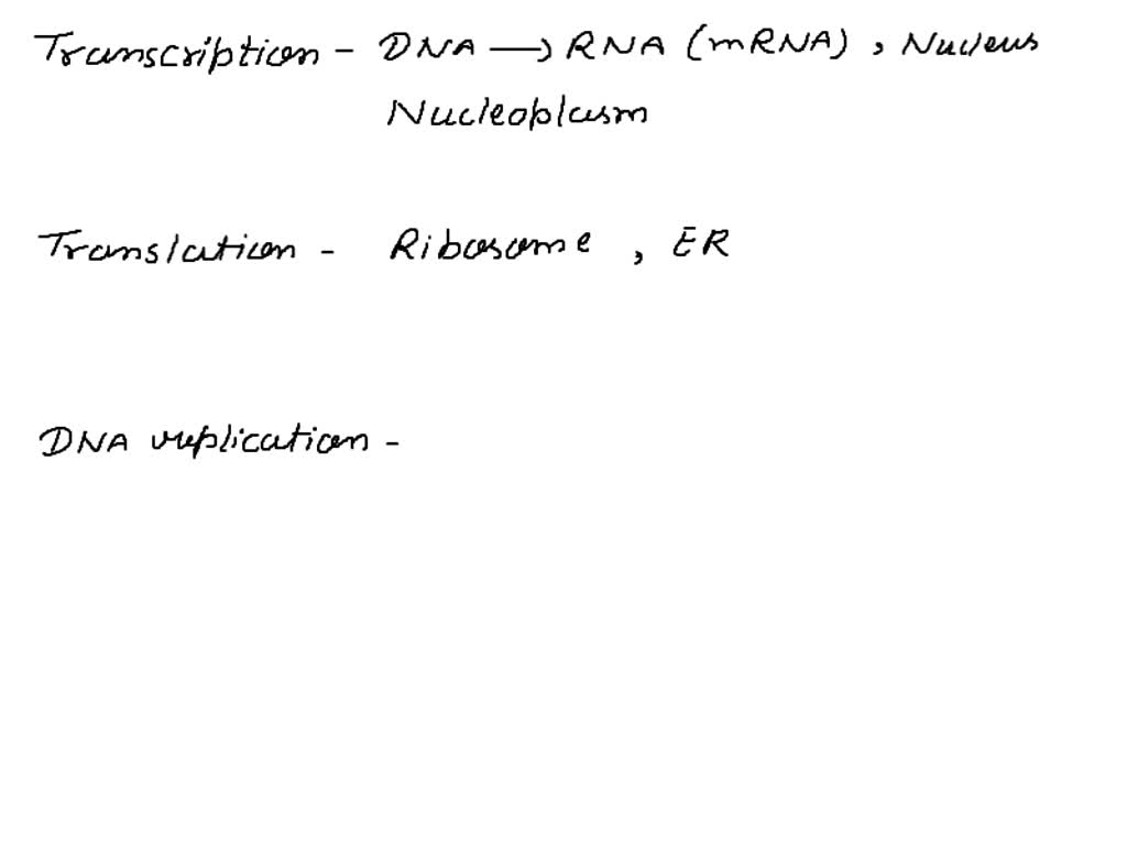 solved-in-which-cellular-process-of-molecular-biology-replication