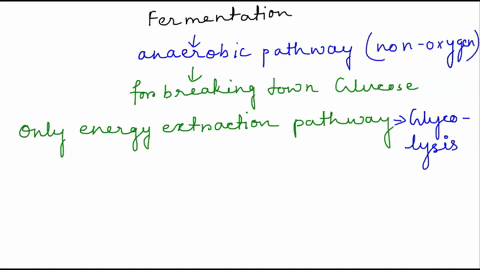 when-does-fermentation-occur-and-why-44158