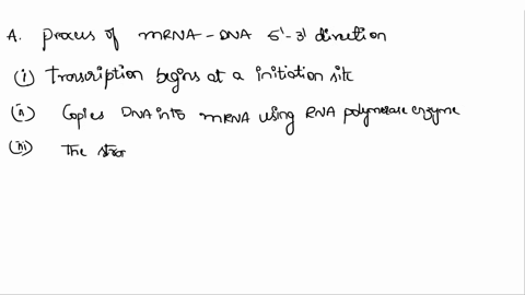 dna-replication-begins-at-a-replication-fork-transcription-begins-at-a-ii-dna-replication-copies-dna-into-dna-using-the-dna-polymerase-iil-enzyme-transcription-copies-dna-into-using-the-enzy-42925
