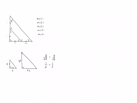find-the-measure-of-each-missing-angle