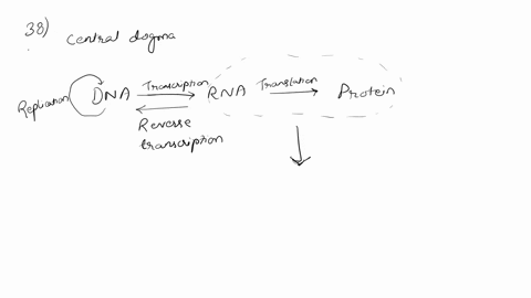 tranthatic-fntcttihat-04-muict-da-hita-r-cntcns-yuutirna-rrat-mrnamd-nhrna-dha-deh-ntantnnuuint-e-mdee-pohhent-maat-onkr-of-tx-mul-gattt-gcc-ecaaar-qutce-hantn-t-mntre-mlkuaaagcucgguuu-dna-i-68295