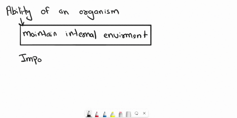 what-is-homeostasis-and-why-is-it-important-12539