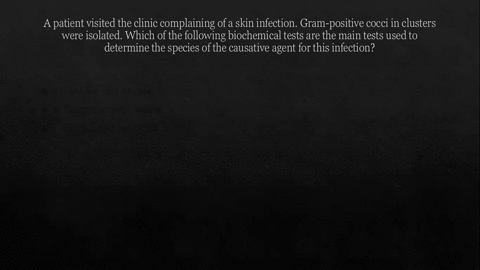a-patient-visited-the-clinic-complaining-of-a-skin-infection-gram-positive-cocci-in-clusters-were-isolated-which-of-the-following-biochemical-tests-are-the-main-tests-used-to-determine-the-s-74427