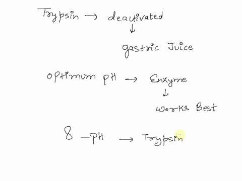 why-does-the-enzyme-trypsin-get-deactivated-when-introduced-in-the-gastric-juice-of-the-stomach-52935