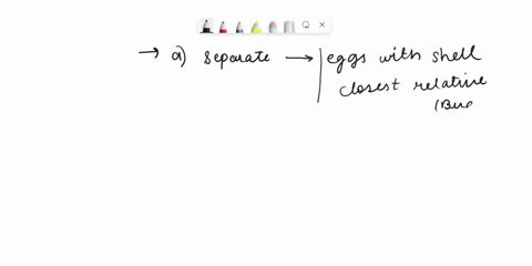 a-what-traits-separates-rabbitsprimates-from-the-crocodiles-on-this-cladogram-b-what-5-traits-do-the-bird-and-its-closest-relative-share-c-which-organisms-dna-will-differ-the-most-from-the-b-44974