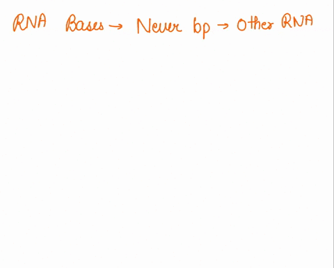 true-or-false-rna-bases-never-base-pair-with-other-rna-bases-true-false-76823