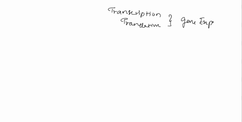 1-describe-the-basics-of-transcription-and-translation-where-in-human-cells-does-each-of-these-processes-occur-2-what-are-start-and-stop-codons-3-what-are-insertion-deletion-and-substitution-08735