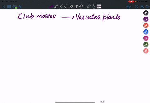 these-plants-have-vascularized-stems-but-lack-true-roots-and-leaves-a-mosses-b-club-mosses-c-horse-5-68624