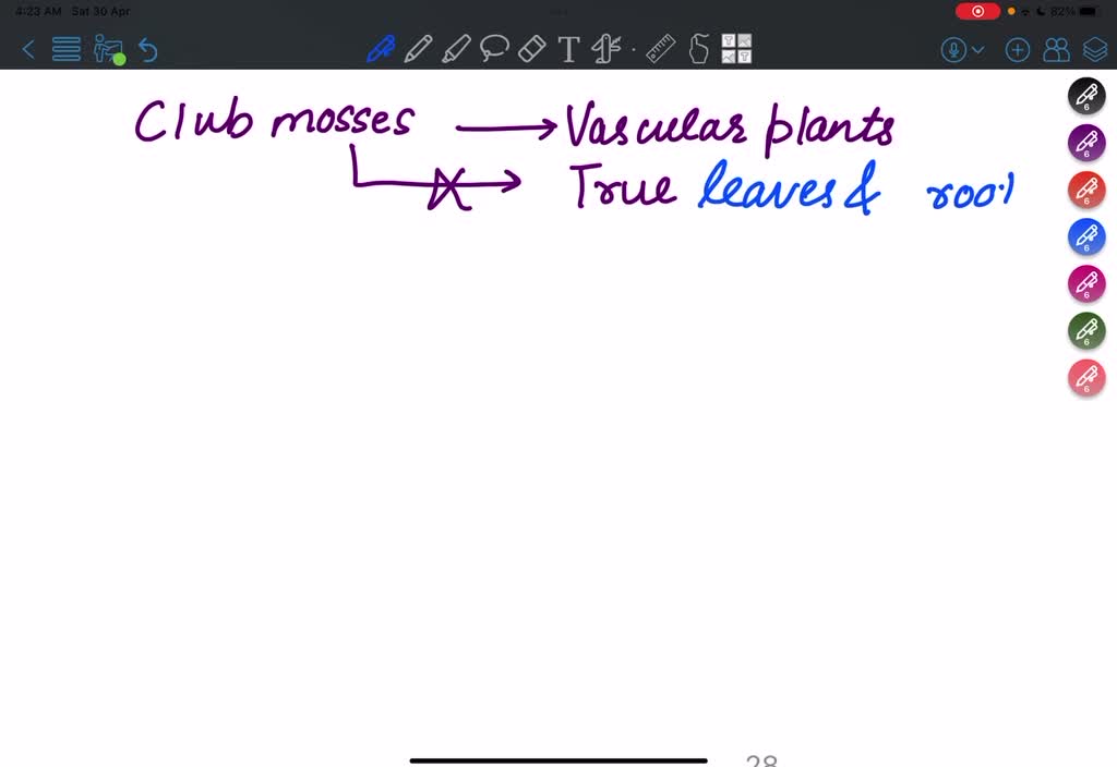 Solved: The Colorless Rootlike Projections Of Mosses, Liverworts, And 