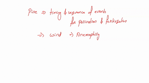 what-are-the-three-major-groups-of-angiosperms-64962