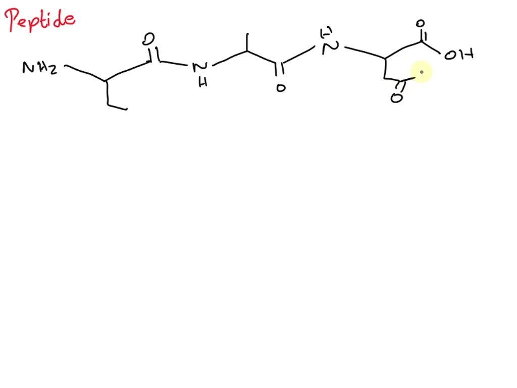 SOLVED: Draw the correct structure for Ser-Ala-Asp at physiological pH ...