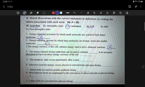 b-match-these-terms-with-the-correct-statement-or-definition-by-writing-the-letters-associated-with-each-term-9x-4-36-a-anabolism-b-absorptive-state-catabolis-mn-d-atp-e-adp-f-post-absorptiv-98792