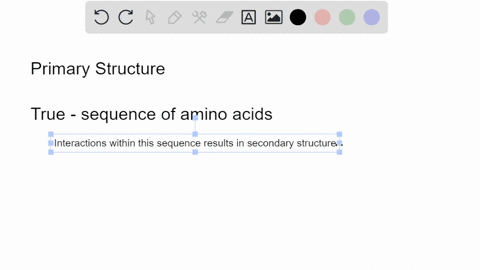 a-proteins-primary-structure-dictates-its-final-chemical-behavior-true-false-62192