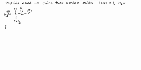 two-amino-acids-are-shown-below-name-them-in-the-blanks-and-then-draw-the-structure-of-the-dipeptide-they-would-form-if-a-peptide-bond-connected-them-in-the-order-shown-draw-the-dipeptide-as-64409