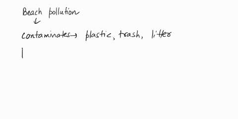 what-type-of-ocean-pollution-is-shown-in-the-beach-below-a-harmful-algal-bloom-b-plastic-and-litter-c-runoff-d-sedimentation-94396
