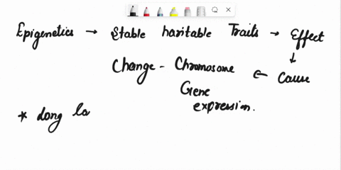 name-34-environmental-factors-that-influence-the-epigenome-and-describe-their-effects-26257