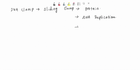 you-wish-to-carry-out-an-experiment-on-a-mutated-bacterial-pol-iii-the-main-replicative-dna-polymerase-in-bacteria-the-mutation-is-in-a-region-of-the-protein-that-you-suspect-weakens-the-bin-15353