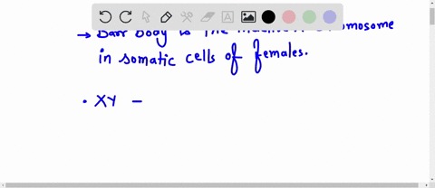 what-is-the-maximum-number-of-barr-bodies-in-the-nuclei-of-human-cells-with-the-following-chromosome-compositions-xy-xx-xxy-xxx-xxxx-xyy-22161