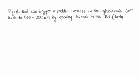 calcium-ions-ca2-are-stored-in-the-smooth-er-some-signaling-pathways-in-the-cell-cause-the-er-to-release-the-calcium-ions-into-the-cytoplasm-which-causes-the-calcium-ion-concentration-in-the-90145