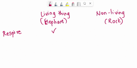what-are-the-characteristics-that-set-living-beings-apart-from-non-living-things-78942