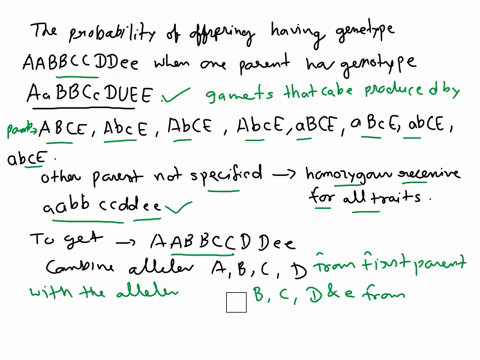aabbccddee-aabbccddee-consider-the-cross-bwll-have-the-genotype-aabbccduee-what-probability-that-any-offspring-will-have-the-genotype-aabbccddee-wnat-probability-any-offspring-parent-who-alb-70375