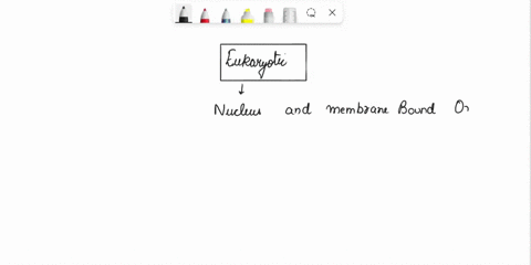 a-microbiologist-is-in-the-process-of-classifying-a-newly-discovered-organism-its-characteristics-include-eukaryotic-multi-cellular-reproduces-by-spores-motile-in-some-stages-of-its-life-cyc-28864