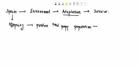the-offspring-of-better-adapted-individuals-are-expected-to-make-up-a-larger-proportion-of-the-nex-3-81968