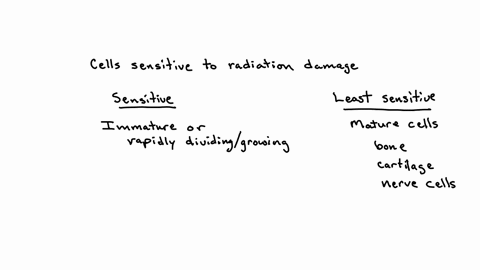 what-types-of-cells-are-most-sensitive-to-radiation-damage-the-intestinal-tract-cells-cells-of-reproductive-organs-cancer-cells-bone-marrow-cells-all-of-the-cell-types-listed-are-very-sensitive-to-rad