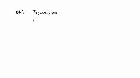 explain-how-the-triplet-code-of-dna-is-transcribed-and-translated-in-the-synthesis-of-proteins-55903