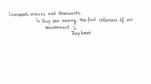 what-ecological-roles-do-liverworts-mosses-and-hornworts-play-in-the-environment-48948