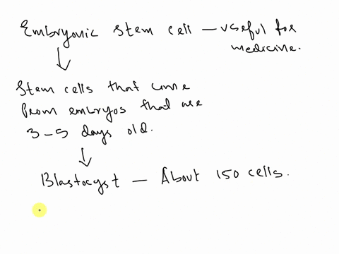 why-are-embryonic-stem-cells-useful-for-medicine-31003