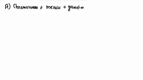 which-of-the-following-could-result-if-meiosis-did-not-occur-in-the-process-of-sexual-reproduction-a-chromosomes-would-not-be-copied-exactly-b-chromosomes-would-no-longer-contain-genetic-inf-36165