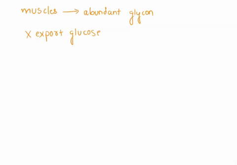 the-muscles-contain-abundant-glycogen-stores-yet-it-cannot-export-glucose-explain-why-the-muscle-cells-cannot-export-glucose-68946