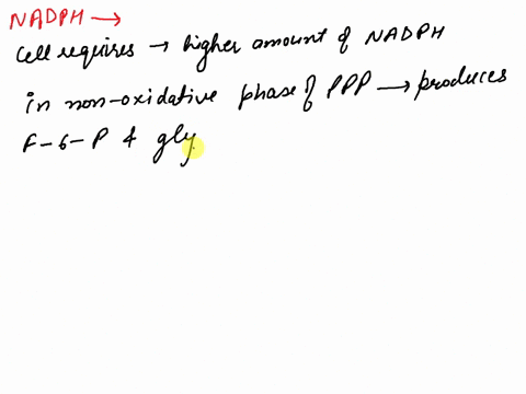 incorrect-question-4-01pts-cells-that-have-a-high-level-of-reactive-oxygen-species-would-need-which-of-the-following-pathways-to-be-active-in-order-to-reduce-the-high-level-of-oxidative-stre-81366