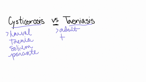 what-is-the-difference-between-cysticercosis-and-taeniasis