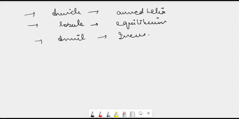 9229-name-date-the-lobule-is-composed-of-a-curved-helix-and-an-inferior-part-called-the-provide-sensory-input-for-equilibriumthere-are-three-of-these-in-the-inner-earsuperior-posteriorand-la-03268
