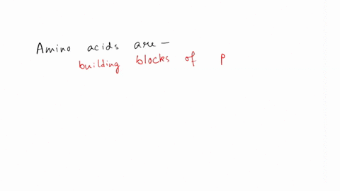question-34-amino-acids-are-building-blocks-of-nucleic-acids-building-blocks-of-proteins-building-blocks-of-lipids-building-blocks-of-carbohydrates-22744