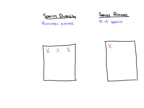 define-species-richness-and-species-diversity-give-an-example-showing-how-the-same-species-richness-in-two-localities-can-return-different-species-diversities-28712