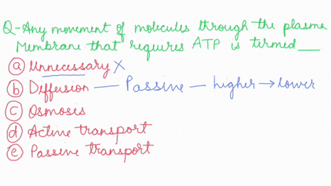 any-movement-of-molecules-through-the-plasma-membrane-that-requires-atp-energy-is-termed-____________-select-one-a-unnecessary-b-diffusion-c-osmosis-d-active-transport-e-passive-transport-06056